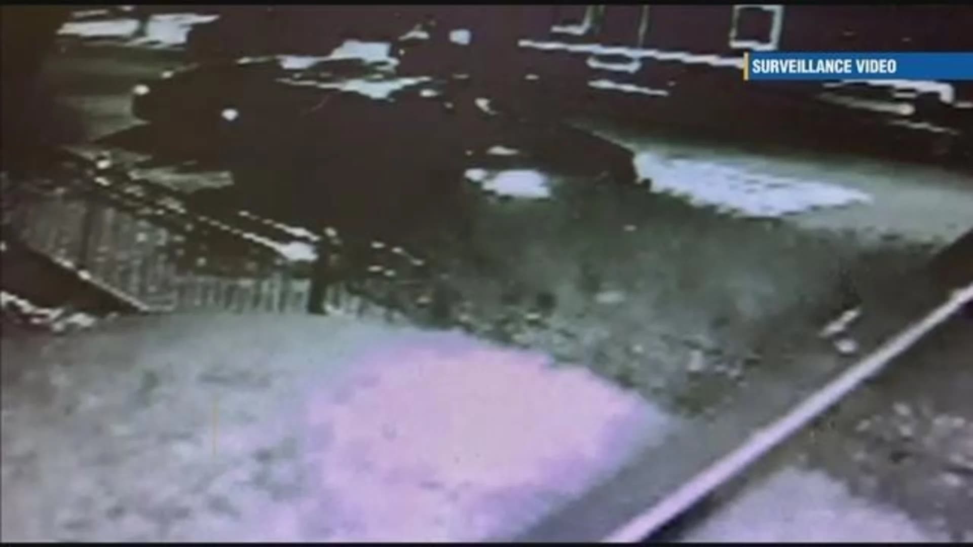 Surveillance video shows scuffle that led to woman’s shooting