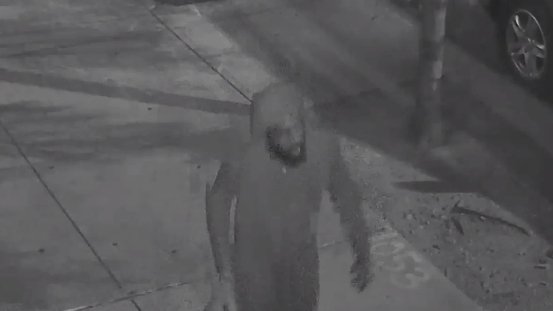 Video shows man lunging, assaulting woman on Brooklyn street