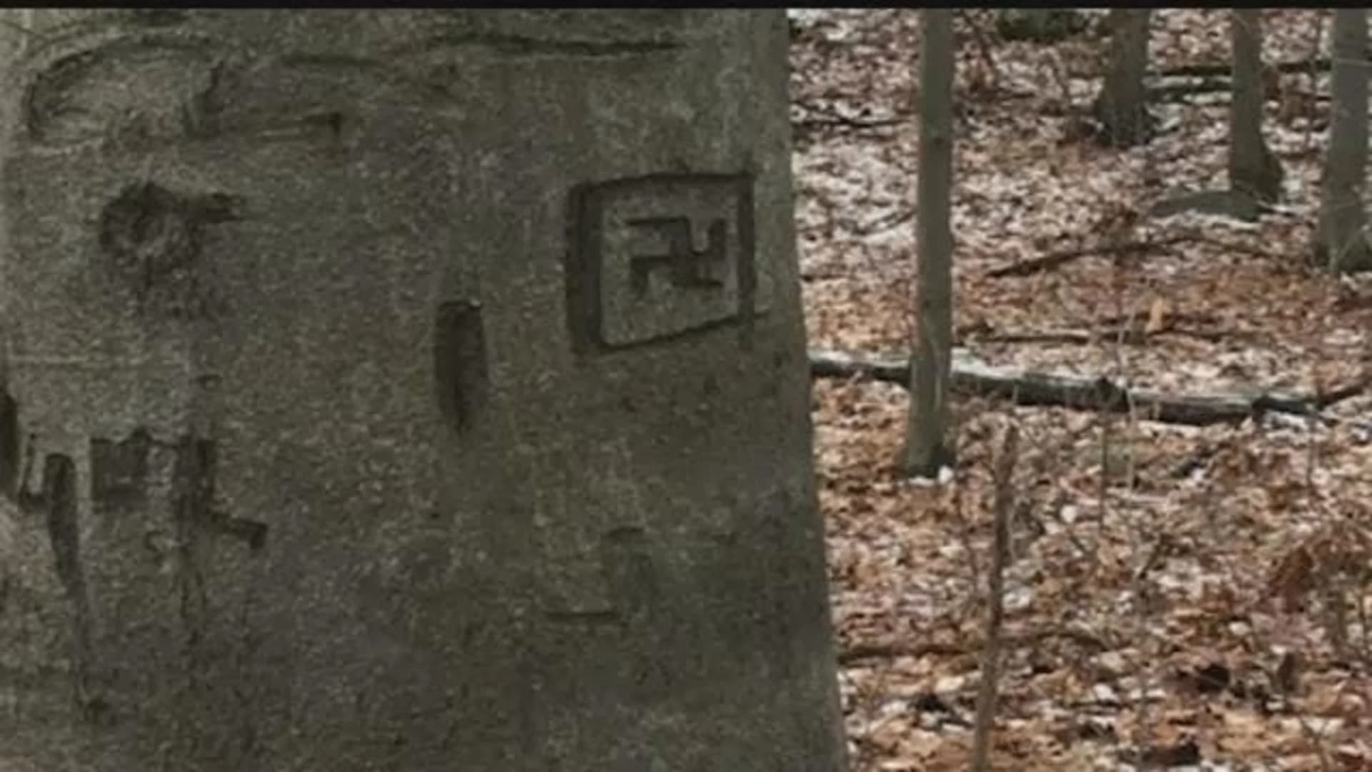 Swastika found carved into tree at Redding park