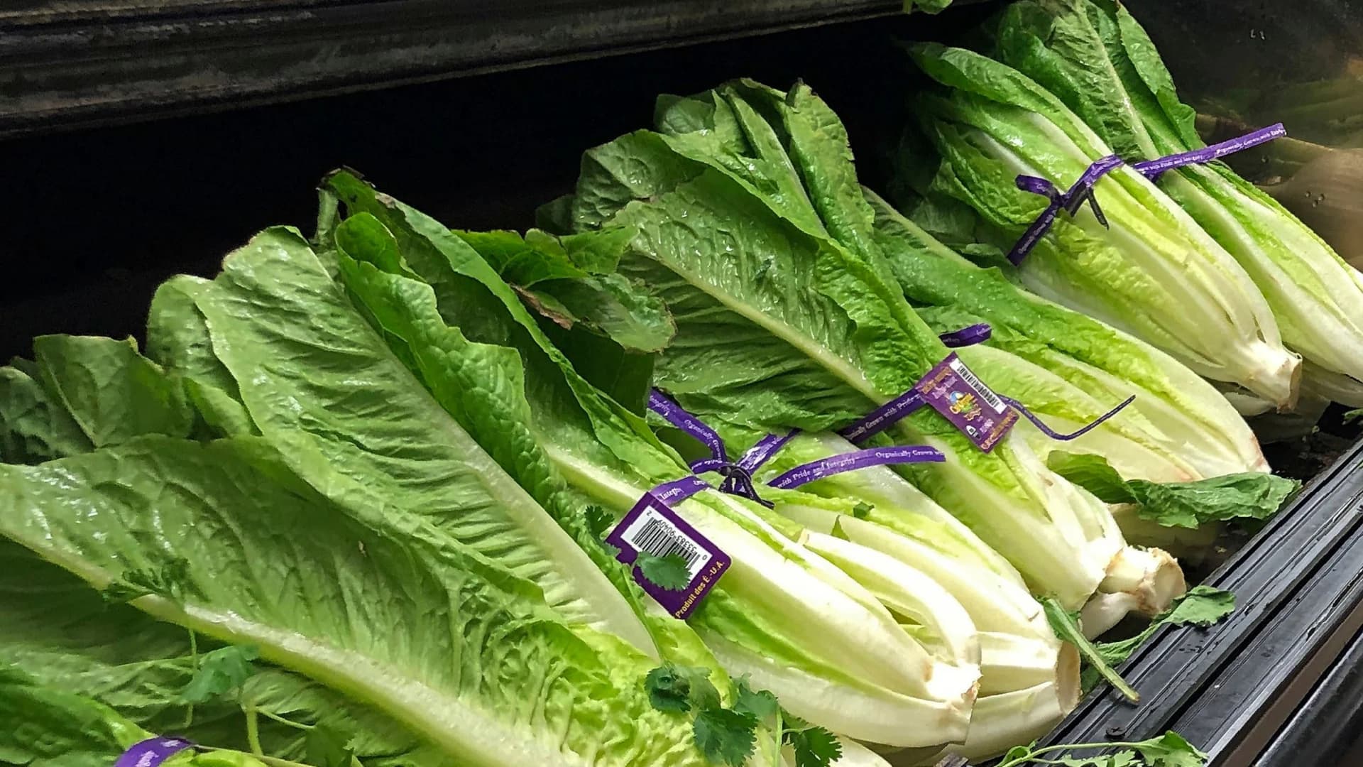 US officials: Don’t eat romaine grown in town in California