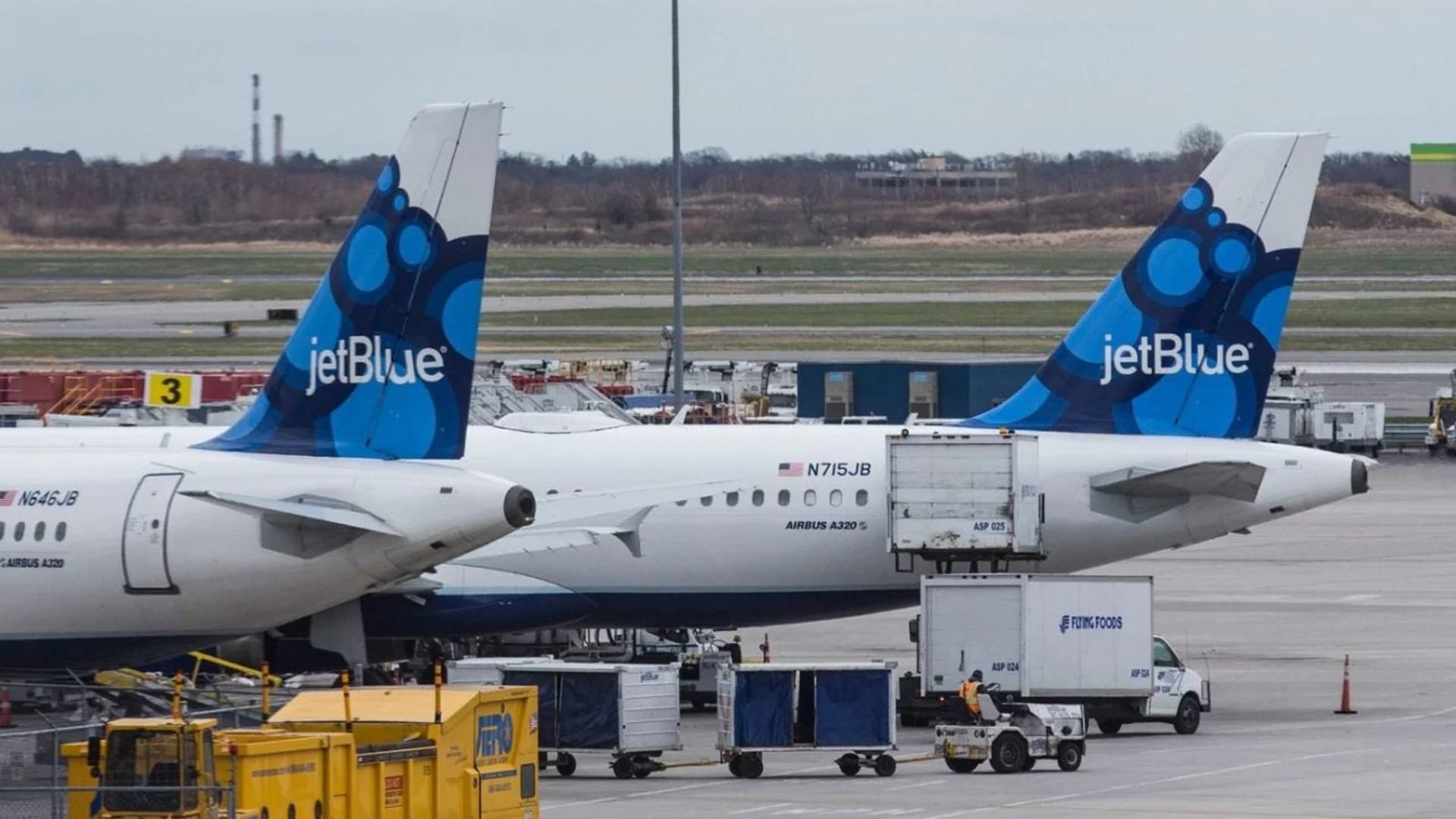 JetBlue plane strikes birds, makes safe emergency landing