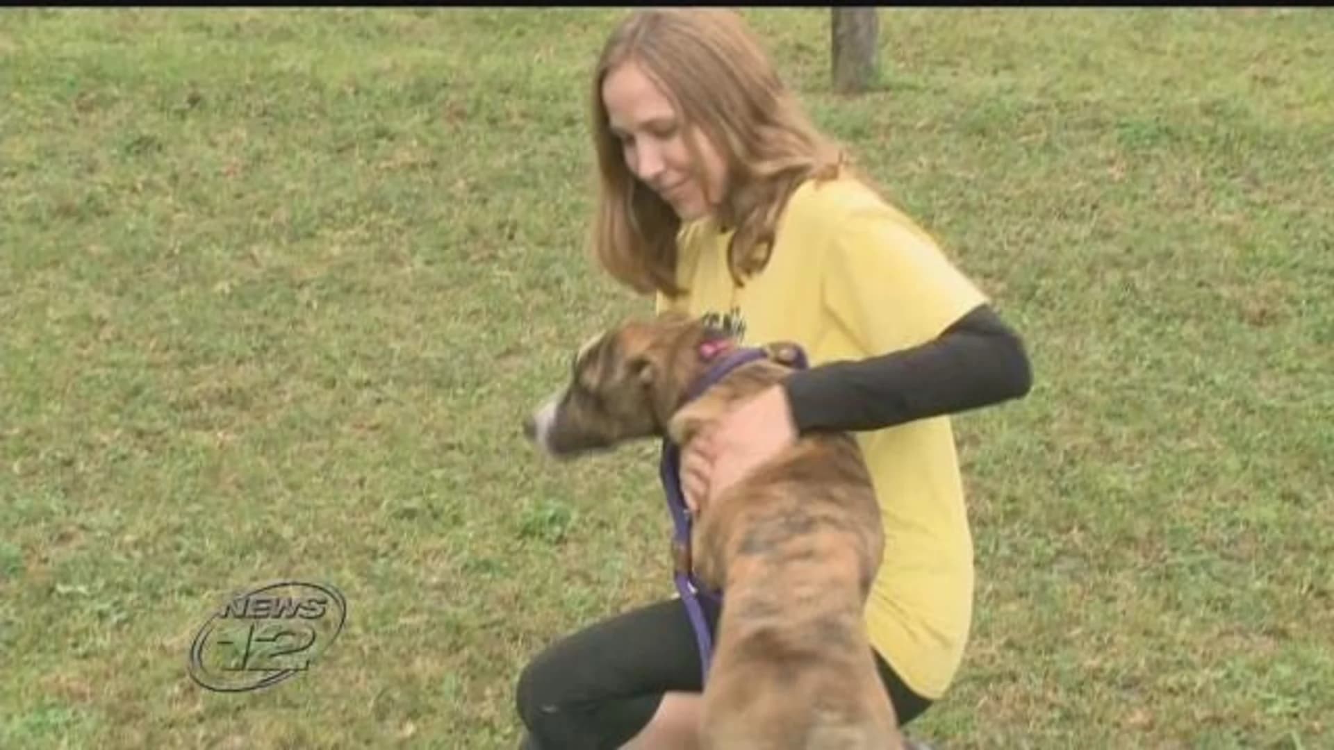 Shelter pets displaced by Harvey arrive in Middletown