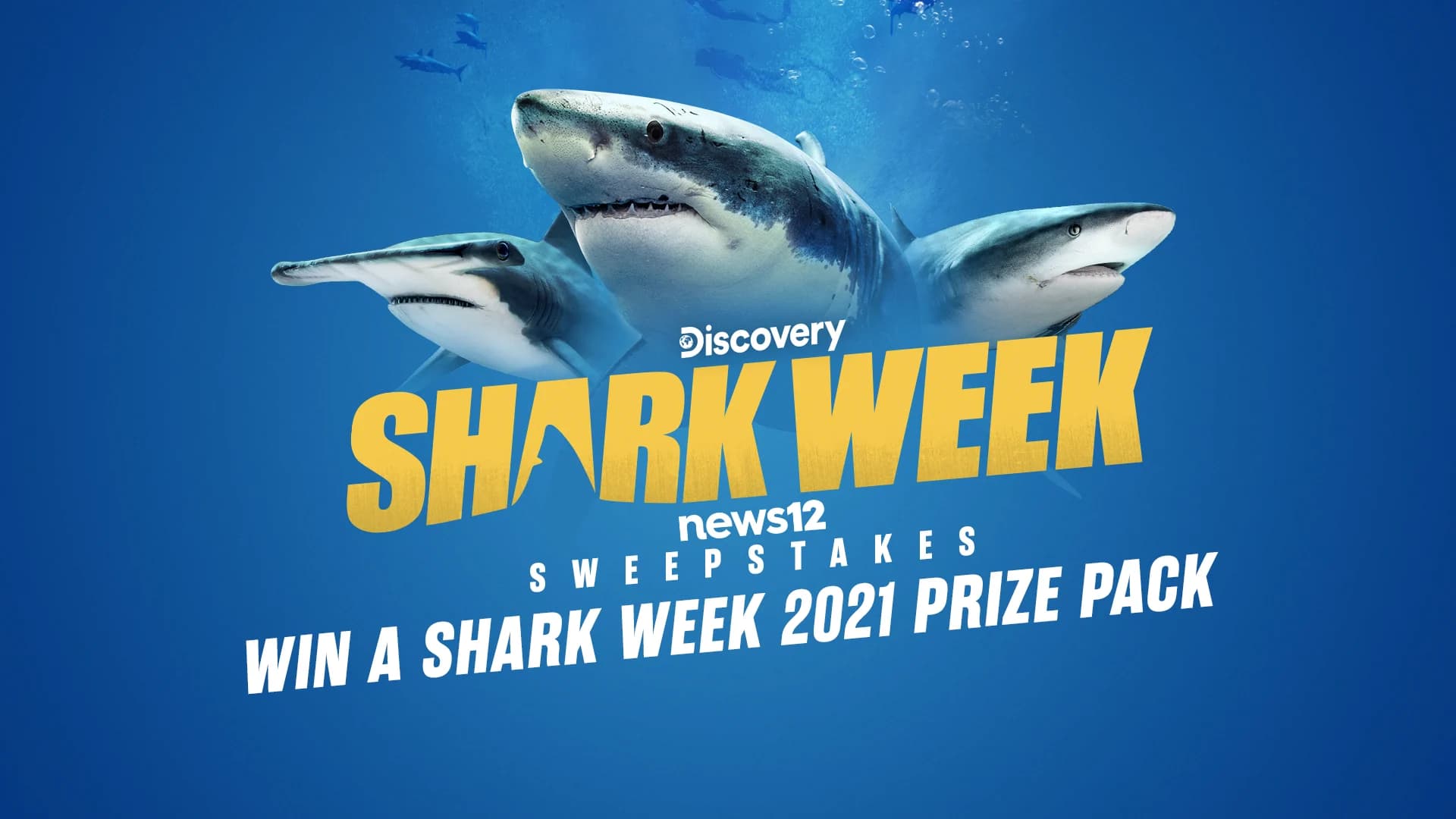 News 12 Shark Week  2021 Sweepstakes: Enter to win a 'Jaw-some' prize! 
